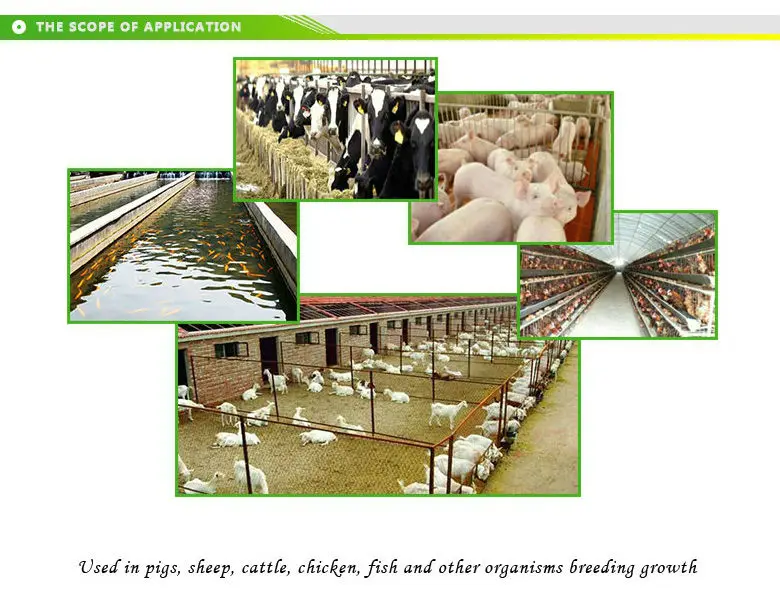 Feed Grade Proteins Type feed yeast