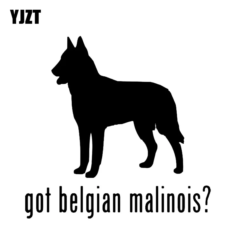 YJZT