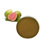 New product wholesale 100% natural 5:1 guava fruit extract powder