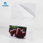 wholesale a4 cast coated glossy photo paper adhesive back photo paper