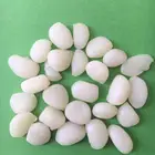 pressure sensitive hot melt glue for PP paper lamination
