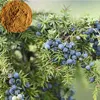 Health product rich vitamin C Juniperusrigida Juniper Berry Extract