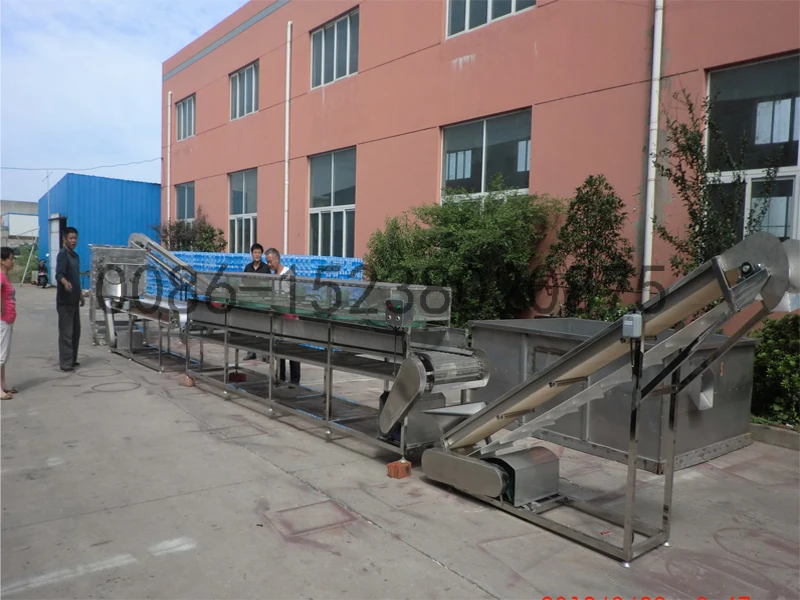 potato washing line .jpg