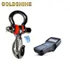100kg type for remote look straight electronic hanging 30kg digital weighing hook weight crane scale