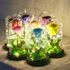 Beauty and the Beast Decorative Flower Rose Eternal Preserved Decorative Rose Flower with Led Lights In Glass Dome For Gift