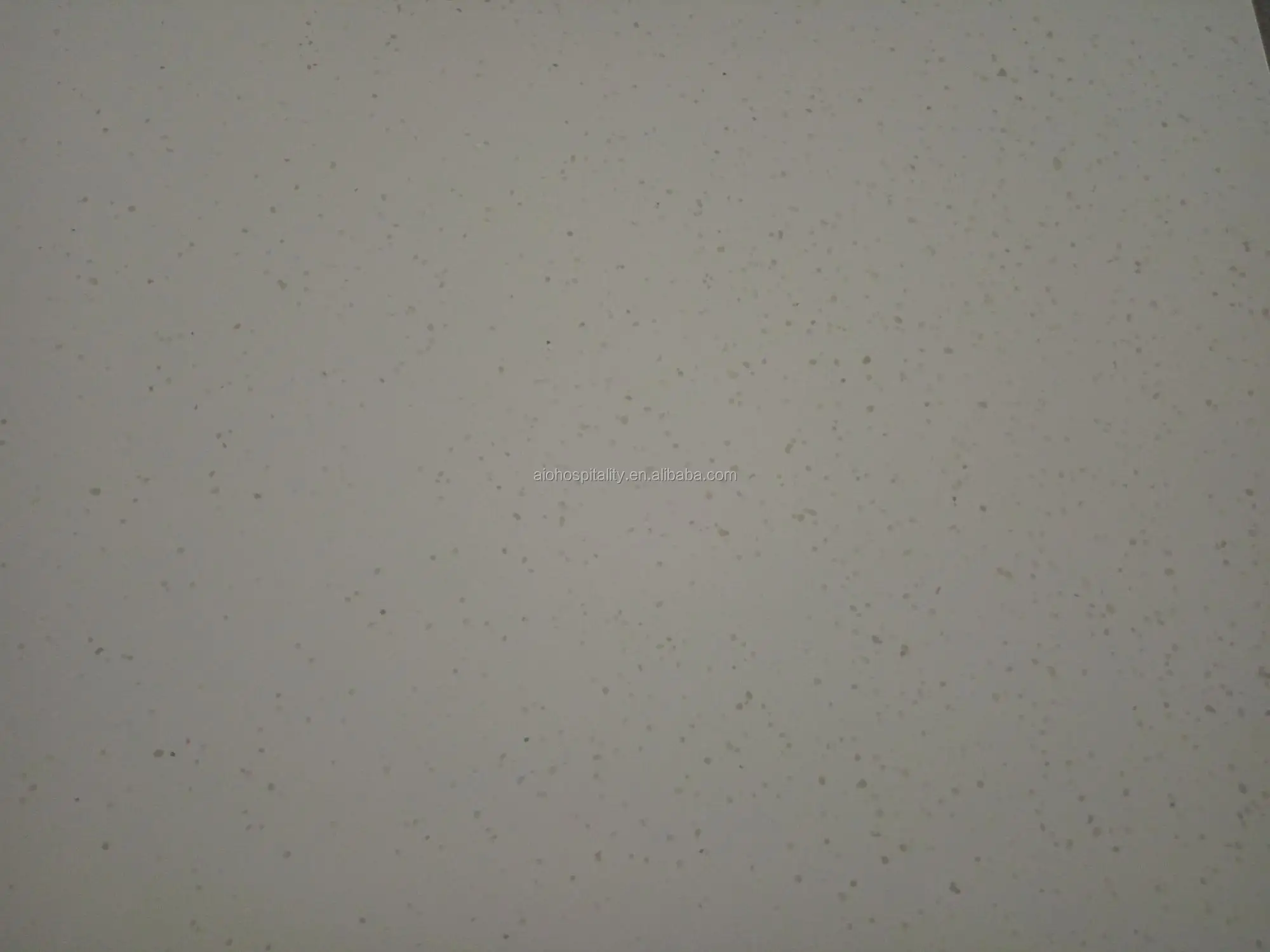 IMG20160723150134.jpg