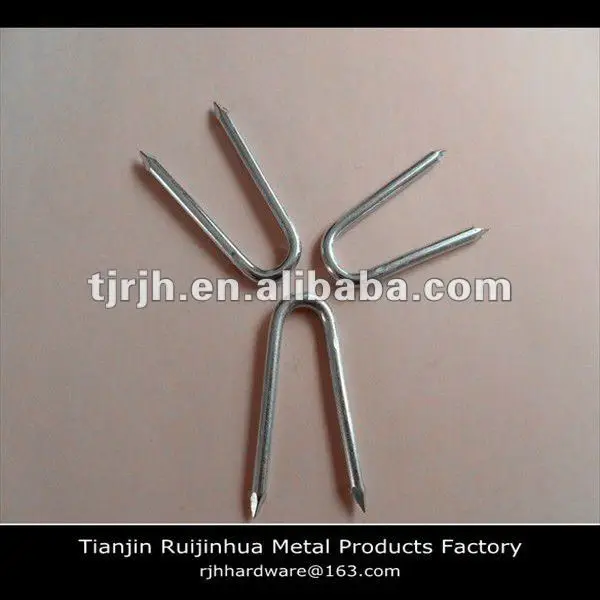 galvanized fence staple u shape nails factory