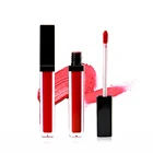 2019 Hot Sales Organic Matte Lipsticks Makeup Waterproof Lipsticks