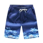 Men's Beach Shorts Pant Trunks Quick Dry Fabric Swim Shorts