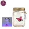 Butterfly bottle in a jar