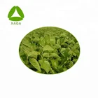 White Mulberry Leaf Extract DNJ