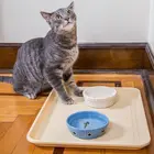 Non Slip Anti Skid Water Food Bowl Dog Cat Pet Feeding Tray for Dog Pet Cat