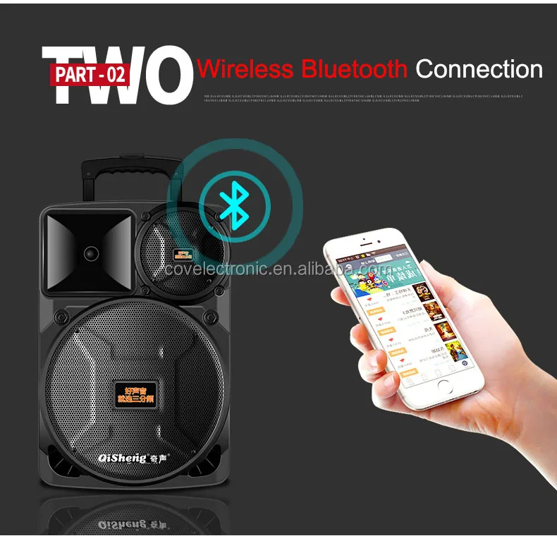 COV Private Mould NEW Promotional party Speaker, Good Sound plastic portable trolley speaker with Mega bass 12 inch /FM - ANKUX.COM