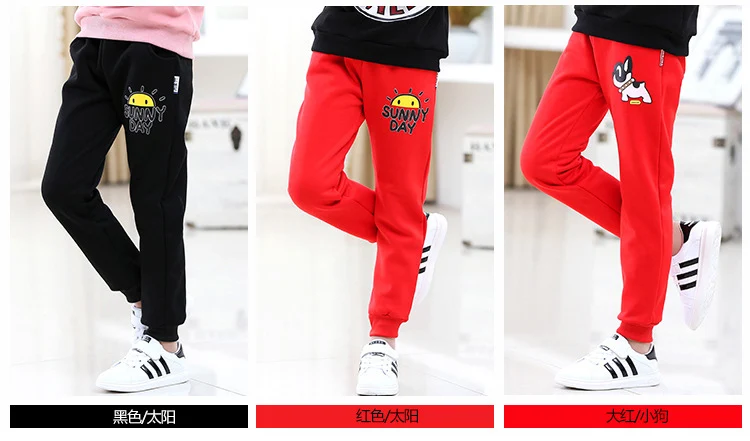 4634219696_1650565748