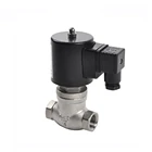 High Temperature 12V 24V DC NPT Thread Piston Hot Water Steam Solenoid Valve