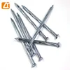 Tianjin factory zinc coated electric galvanized concrete steel nail