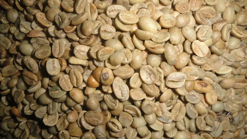 coffee beans