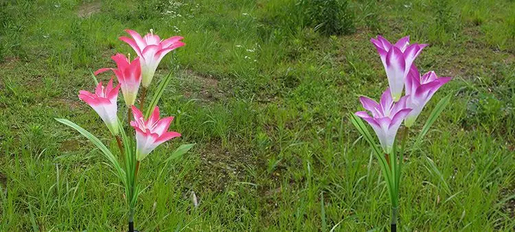 Solar Power Flower Color LED Light, Garden Solar Lamp, Yard Lamp