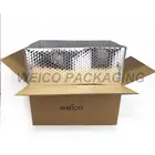 Aluminum foil bubble cooler bag, thermal insulated box liner bags for frozen/fresh food shipping