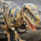 DSDC003 Dinosky Professional amusement park equipment realistic dinosaur costume for sale adult walking dinosaur
