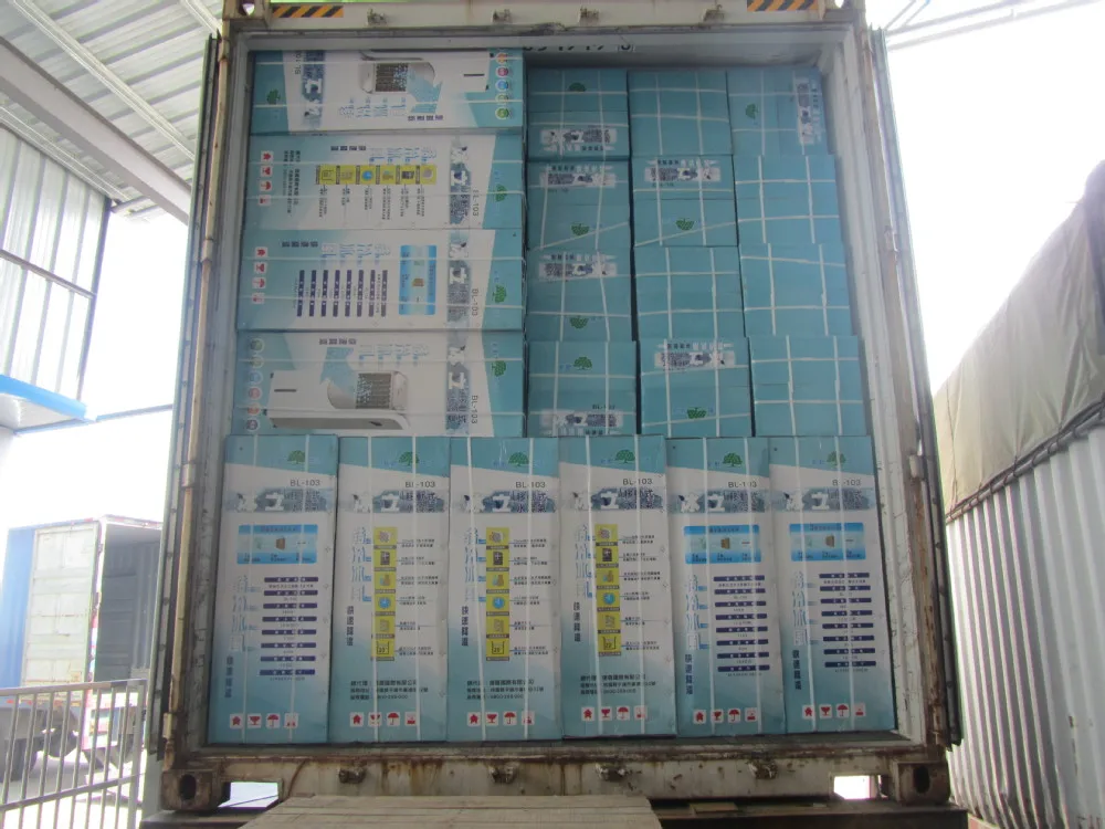 small cooler price iron body