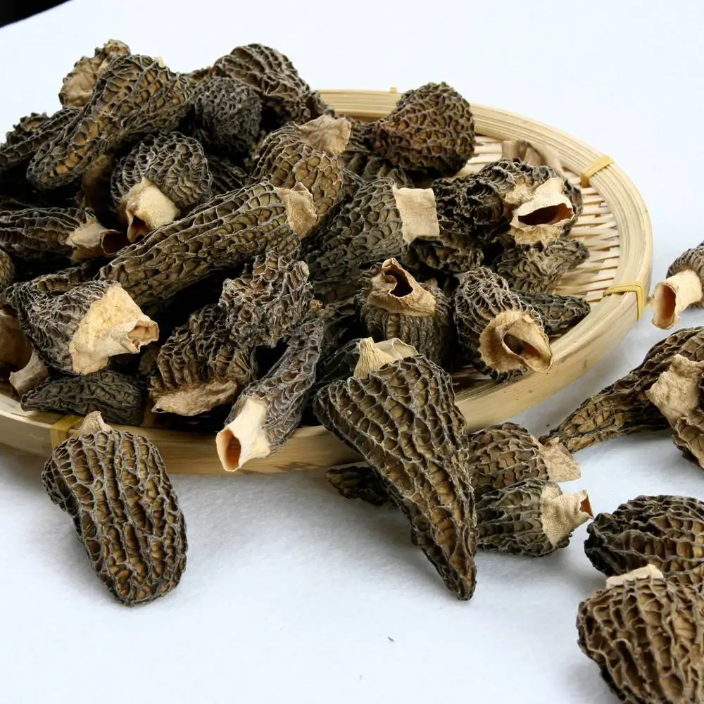 High quality cultivated dried sichuan HD054 where can you buy morel mushrooms