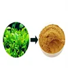 /product-detail/natural-100-green-tea-extract-powder-for-weight-loss-fat-burning-pills-62120738525.html