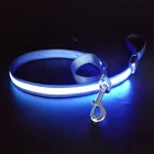 New arrival Wholesale Illuminating Walking Night Glowing USB Rechargeable Led Dog Leash