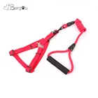 Wholesale Adjustable Pet Accessories Colorful Reflective Lead Dog Harness And Leash Set