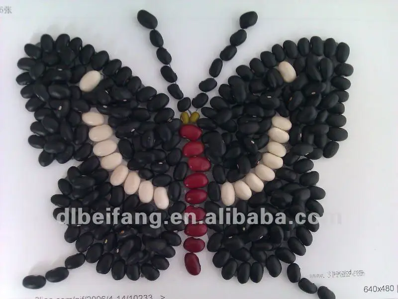 Black Bean/Black Kidney Beans( New crop, Heilongjiang origin, HPS)