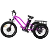 High quality 20 inch cargo adult electric trike/tricycle with good price