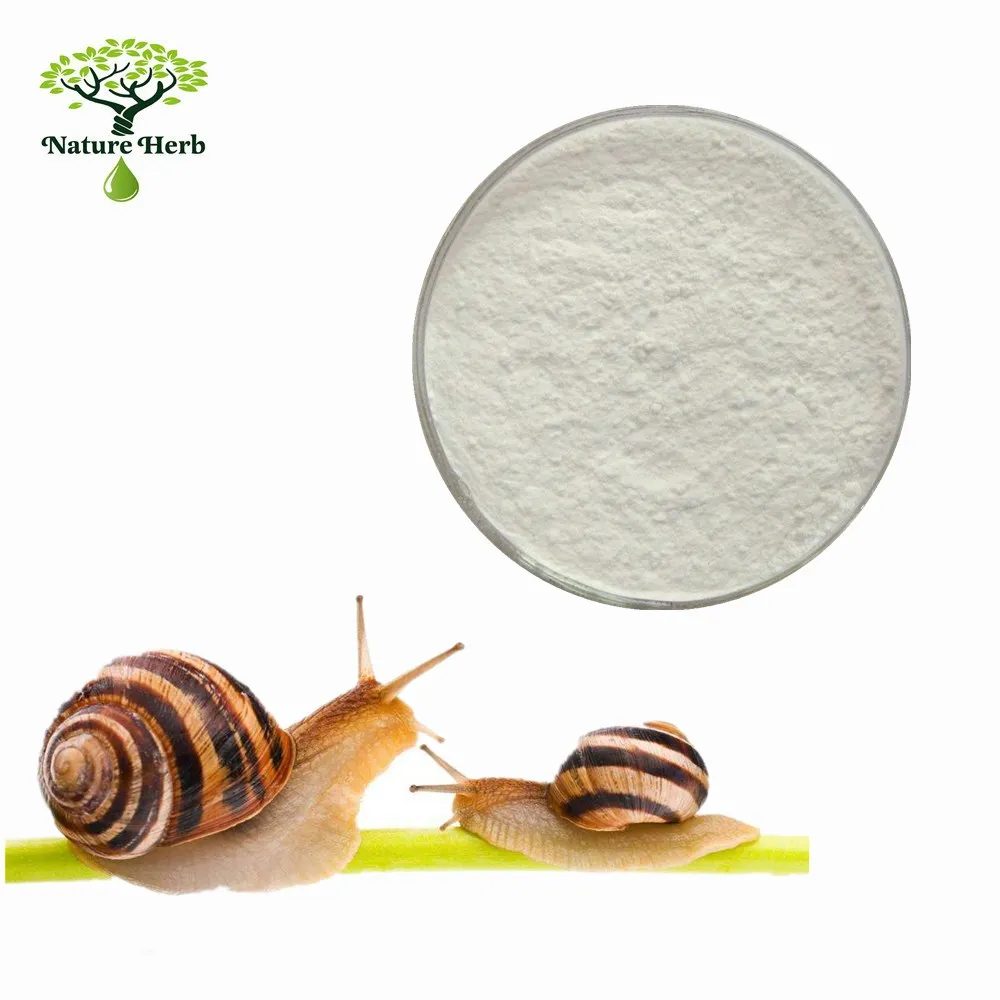 cosmetic ingredient snail slime extract / snail slime powder