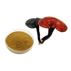Ganoderma Lucidum Extract 100% Pure Natural Reishi Mushroom