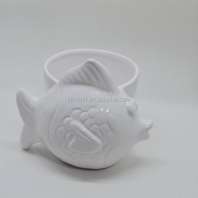 fish garden images