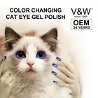 Product Polish Gel Polish Factory Factory Supply New Product Temperature Color Changing Magnet Cat Eye Gel Polish