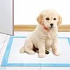 Amazon Pet Dog reusable Waterproof Puppy washable Pee Pads