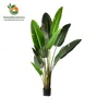 /product-detail/plastic-bird-of-paradise-indoor-mini-palm-trees-190cm-tall-60793109601.html