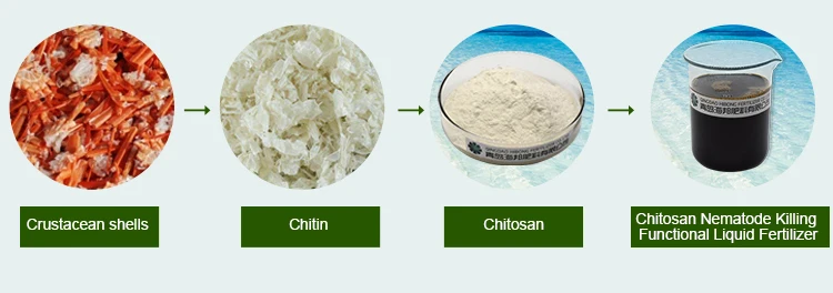 bulk agriculture chitosan nematode control killing functional liquid fertilizers NPK