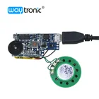 USB direct download Small MP3 voice box sound module with push button