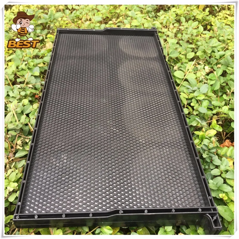 Plastic Bee Frames With Plastic Sheet Buy Plastic Bee