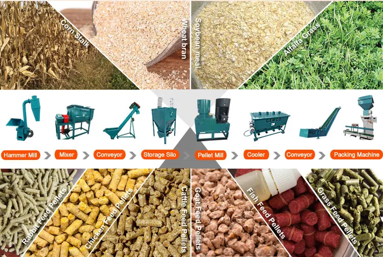 complete feed pelletizer making mini plant chicken feed pellet production line