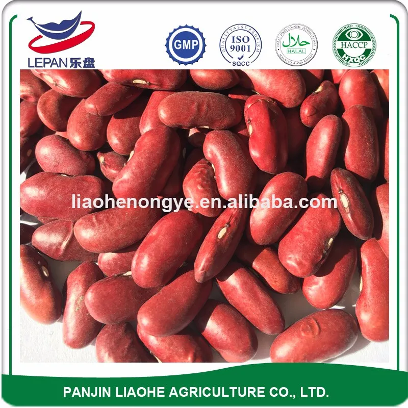 On Sale New Crop RKB Red Kidney Beans