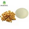 china supplier soy isolate protein powder