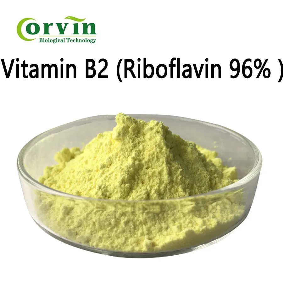 direct supply riboflavin cas: 83-88-5 vitamin b2 powder