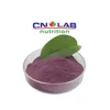 /product-detail/fresh-acai-berry-powder-freeze-dried-acai-berry-powder-1918136081.html