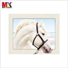 Hot sale 5d animal picture Two white horses