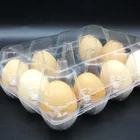 Customized Transparent PET Egg Tray Plastic Clamshell Blister Packaging Containers for Eggs