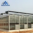 Commercial Venlo Type Glass Agriculture Tomato Greenhouse with Automatic Control System