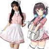 /product-detail/girl-maid-costume-anime-fancy-dress-costume-halloween-cosplay-uniform-for-women-s-dl3026-60814172729.html