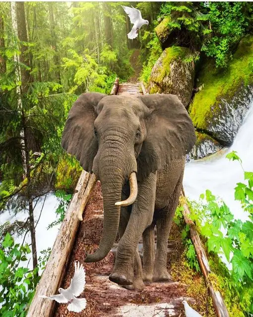 36020160903081751779